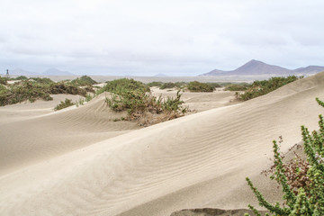 Famara beach in Lanzarote
