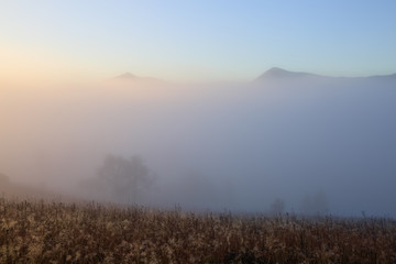 Autumn landscape of high mountains, orange coloured trees, fog. Sun rays enlighten the lawn with...