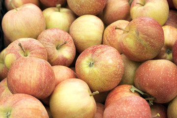 Group of organic apples close up background