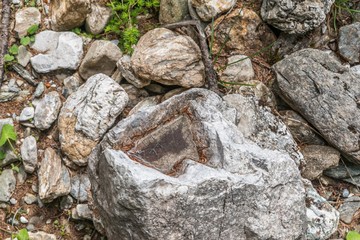 Natürliche Badewanne für Vögel auf einem Stein