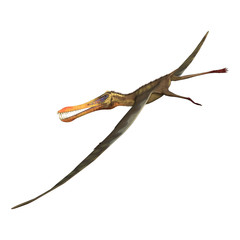 Obraz premium 3D Rendering Pterodactyl Anhanguera on White