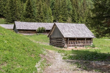 Fototapeta na wymiar Almhütten im Naturpark Riedingtal Zederhaus, Österreich