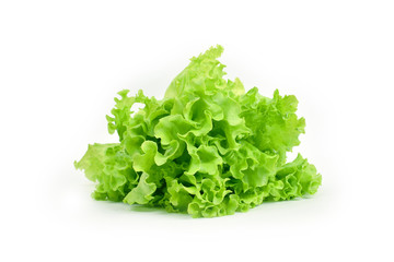 Gren leaf of salad