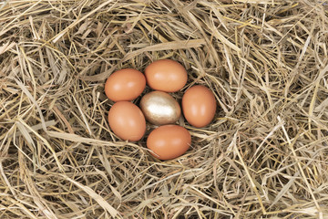 Egg lying on the grass in the center of a golden egg
