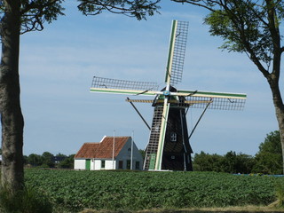Windmühle // windmill