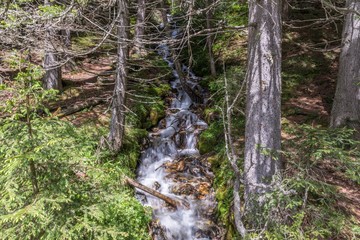 Fototapeta premium Wasserfall eines Gebirgsbaches im Naturpark Riedingtal Zedernhaus, Österreich