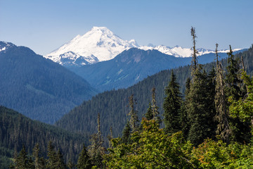 Obraz premium Mount Baker, WA, under bright blue skies in early summer