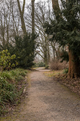 Fototapeta na wymiar Path in park