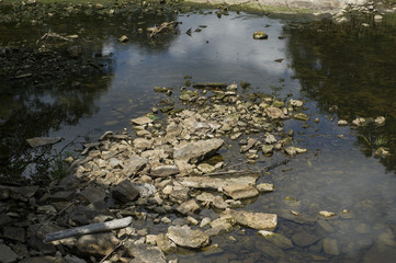 Pond