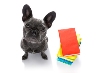 smart dog and books