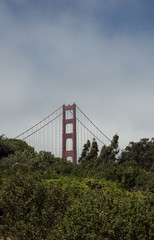 golden bridge