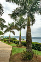 Obraz premium Ocean view from a public park in Montego Bay