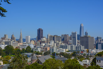 Obraz premium San Francisco view 