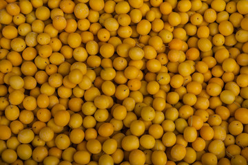 Fresh yellow plum tkemali on local market georgia