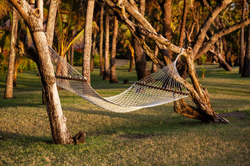 Hammock Hanging in a Tropical Setting
