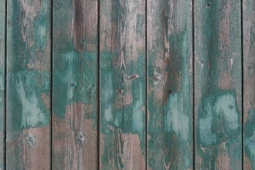 Gray and green weathered boards. Natural background of wood.