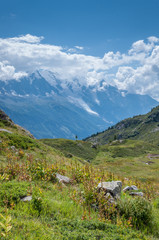Alpages de la vallée de Chamonix