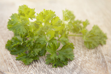 Fototapeta premium Fresh green parsley on wooden rustic background. Condiment for preparring food.