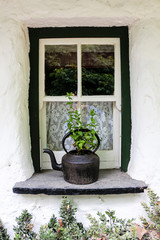 Fototapeta na wymiar teapot planter on windowsill
