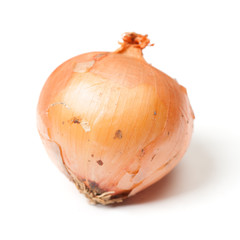 One rotten onion