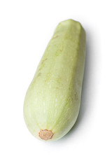 Single damaged squash vegetable marrow zucchini