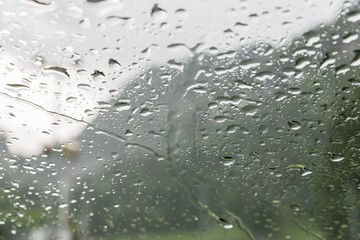 Regentropfen auf einer Auto Windschutzscheibe