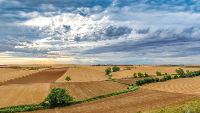 Paisaje de Meco