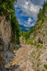 Fototapeta na wymiar Almbachklamm Berchtesgaden