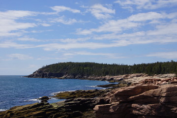 Fototapeta na wymiar Coast at Otter Point in Acadia National Park