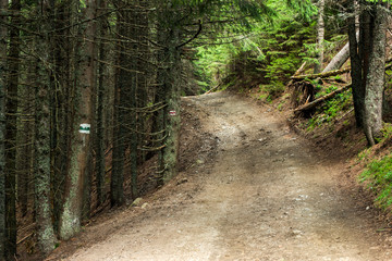 hiking mountain route