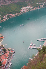 Kotor