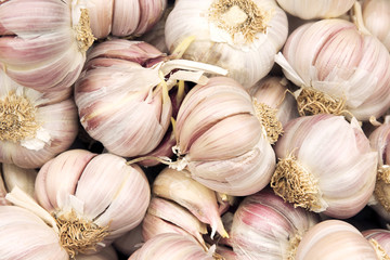 Group of purple garlic. Top view close up