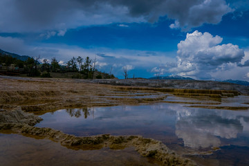 New Highland Terrace, Mammoth Hot Springs, Yellowstone National Park, Wyoming