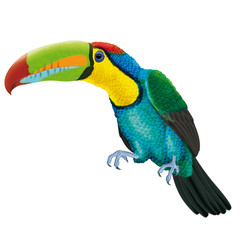 toucan, coloré, multicolor, imaginaire, oiseau, animal, bec, illustration, décorative