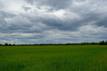 Пасмурный день