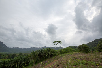 landscape in asia on a cloudy day
