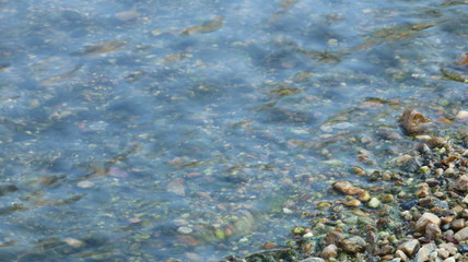 愛知 天白川 水面 川  夏 日中 水辺