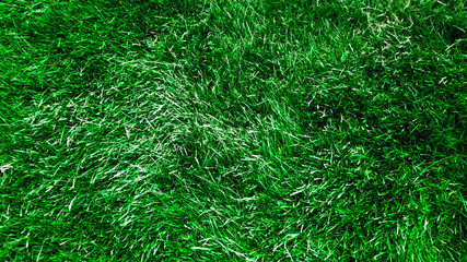 Lawn Texture Background