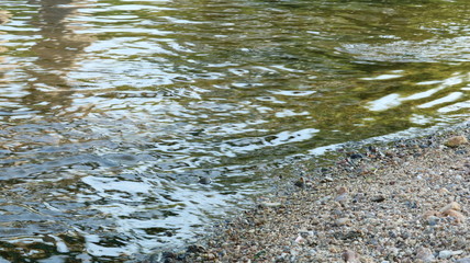 愛知 天白川 水面 川  夏 日中 水辺 晴れ