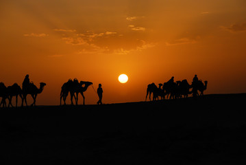 Fototapeta na wymiar sahara sunset