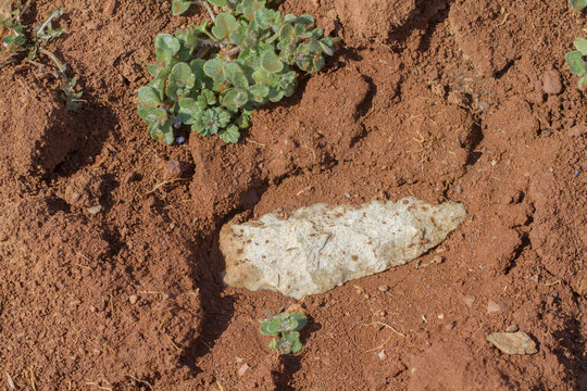 Authentic Native American Indian Arrowhead in dirt