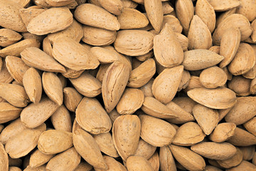 Almond nuts background
