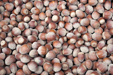 Unshelled hazelnuts background