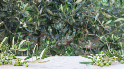 Empty stone table with blurred olive trees background with a outdoor theme. Template for display of...