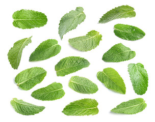 Set with fresh green mint leaves on white background