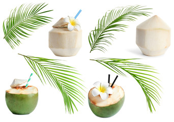 Set with coconut drinks and  tropical palm leaves on white background © New Africa
