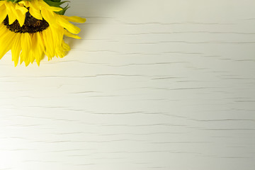 Vintage wood blank background of white peeling paint, with a yellow sunflower in upper left corner