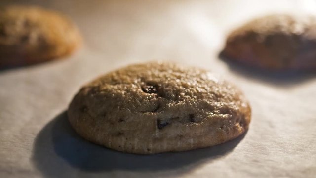 Chocolate chip cookies baking in the oven timelapse