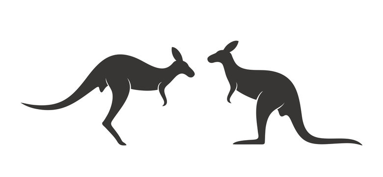 Kangaroo logo. Isolated kangaroo on white background