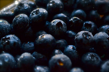 Wet Blueberries